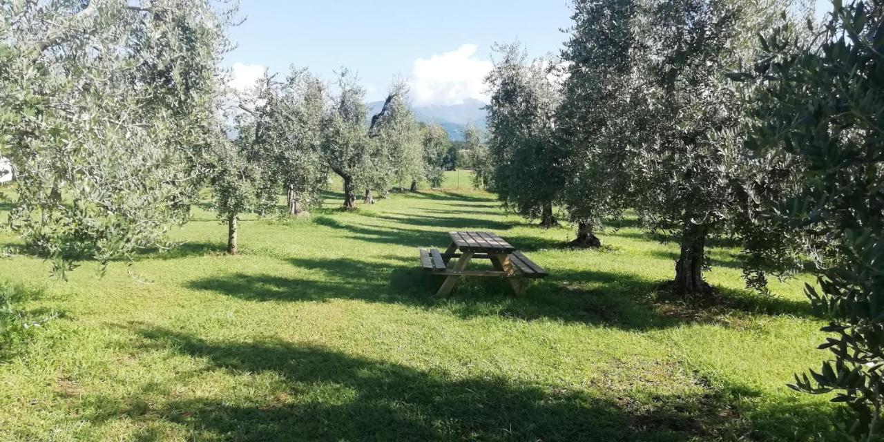 Agriturismo Fioralba Polpenazze del Garda Extérieur photo