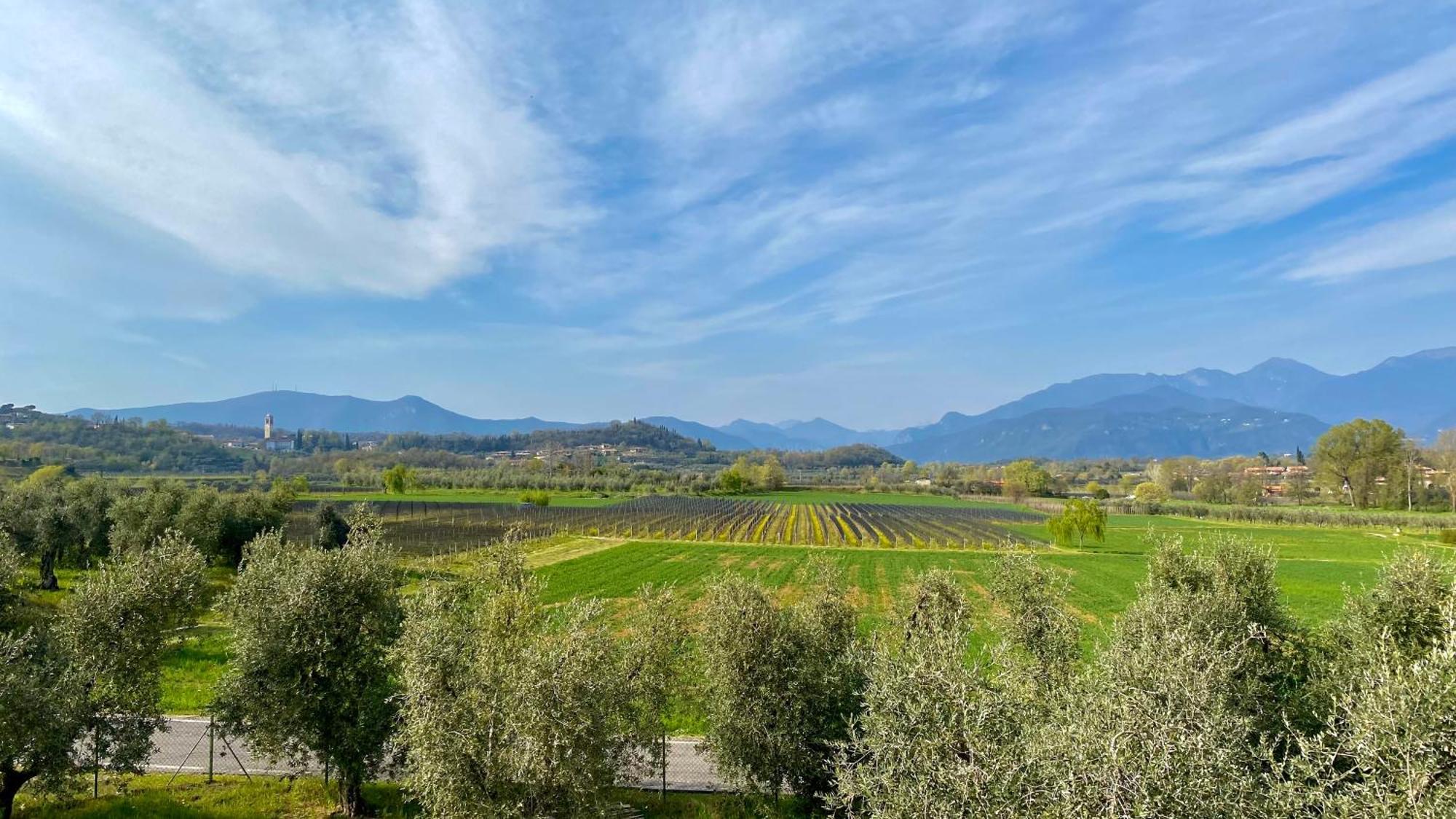 Agriturismo Fioralba Polpenazze del Garda Extérieur photo