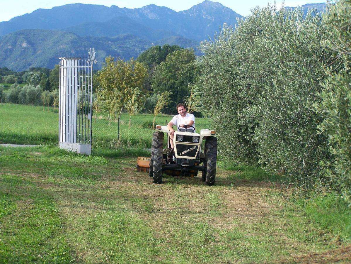 Agriturismo Fioralba Polpenazze del Garda Extérieur photo